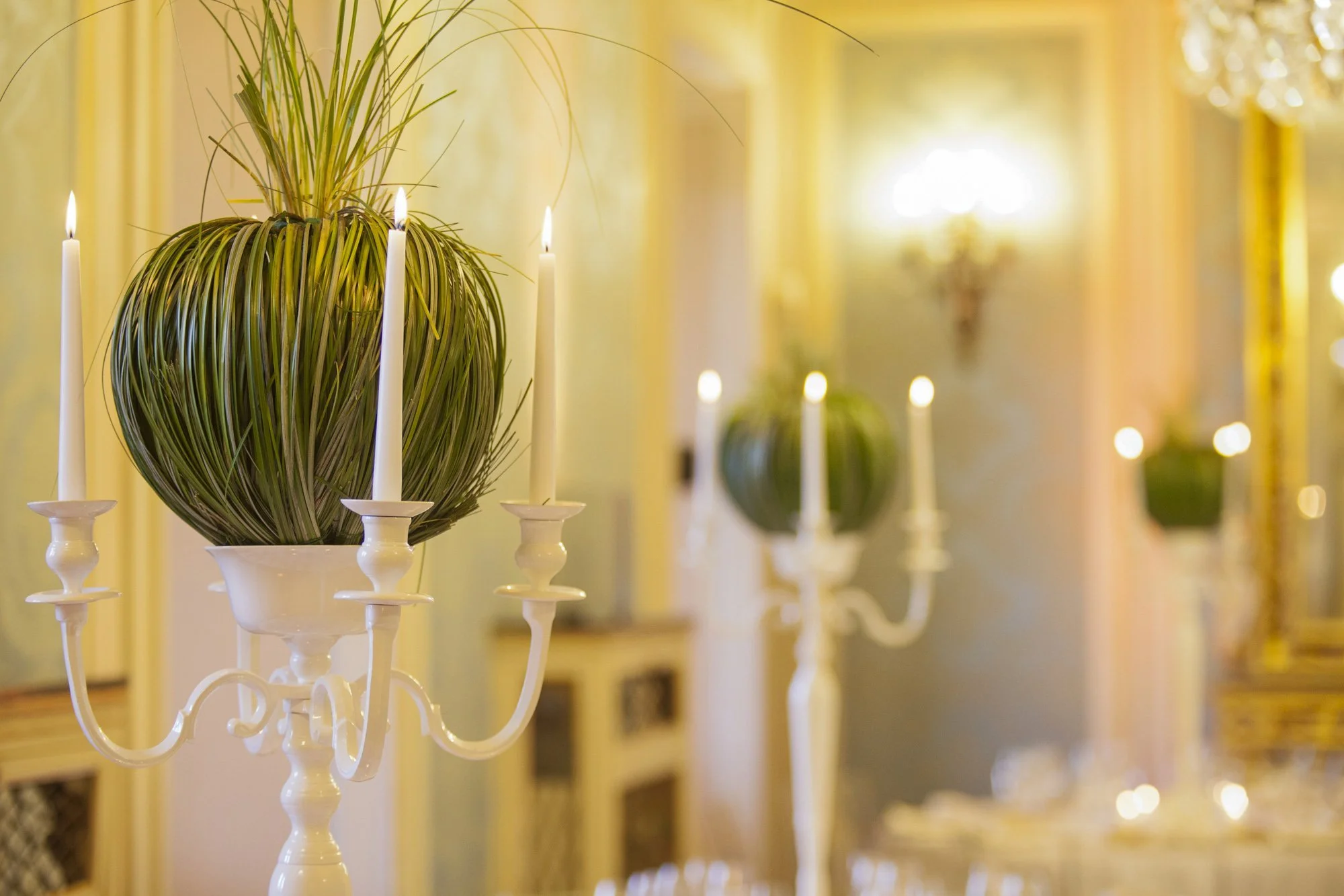 Elegant gala dinner