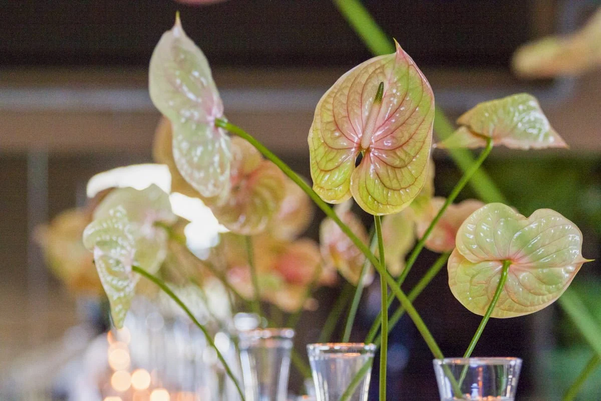 milan - SugarEvents Luxury Wedding and Event Planner