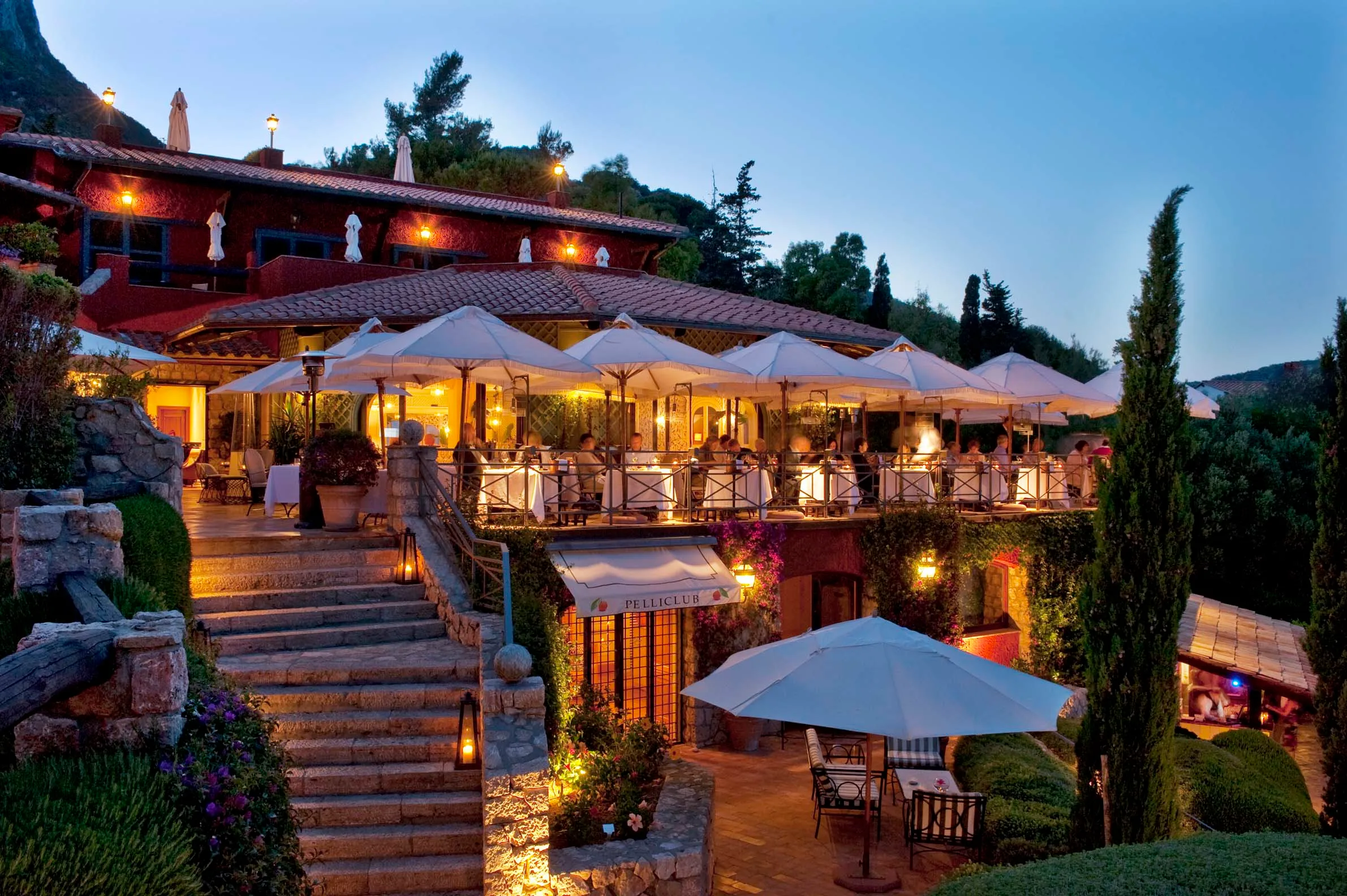 Il Pellicano